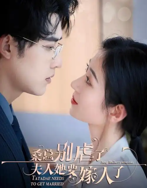闪婚老公是隐藏大佬短剧封面